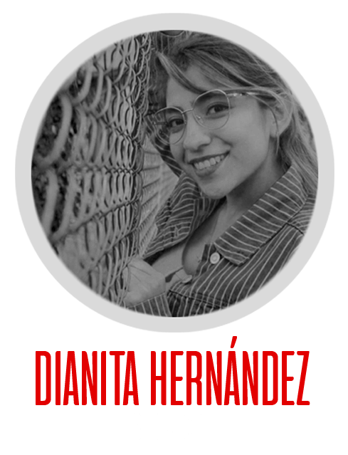 Colectivo Creativo - Diana Hernández - Studio StrigoiDan MX